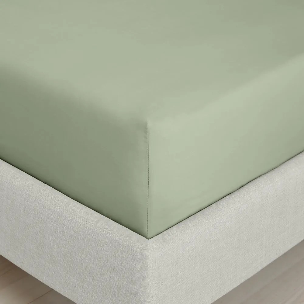 Zöld gumis pamut-perkál lepedő 90x190 cm Cotton Percale – Bianca