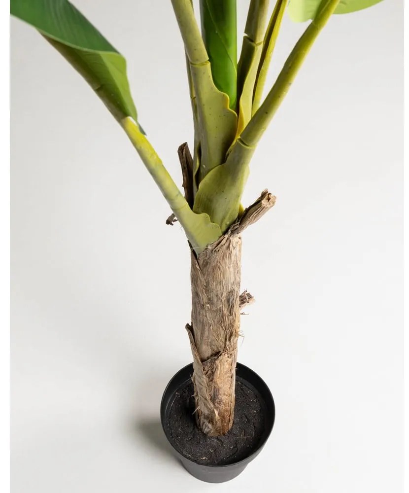 Pálma műnövény (magasság 160 cm) Baa – Kave Home