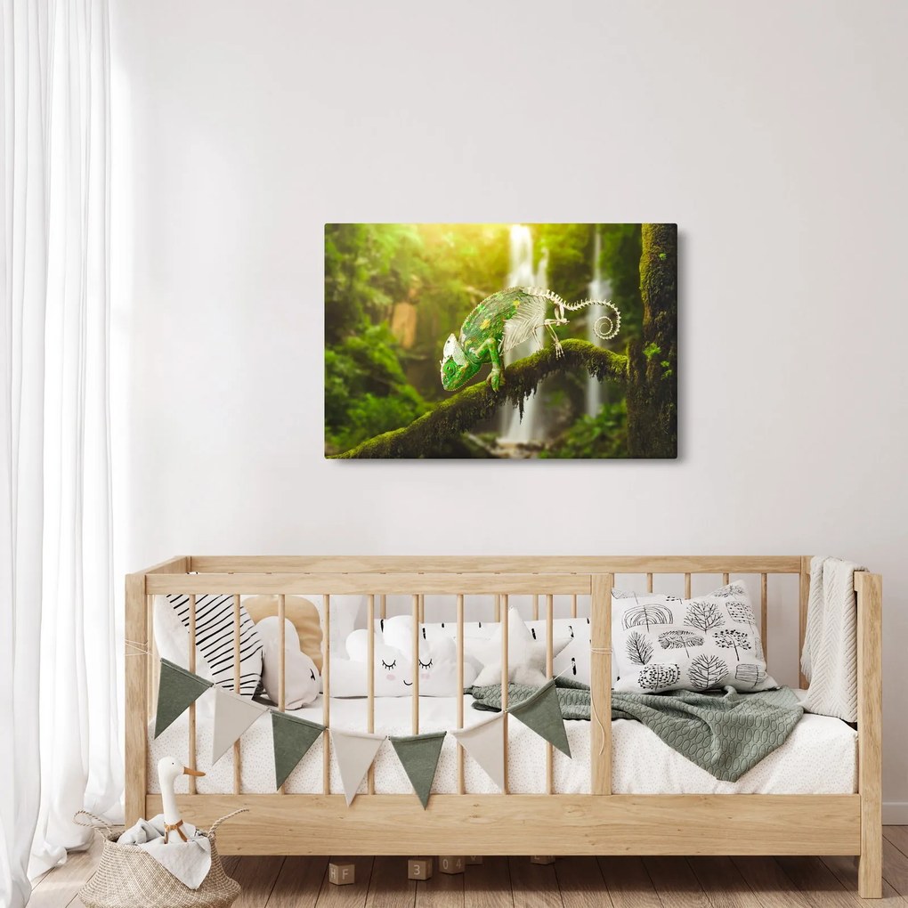 Gyík képe (90x60 cm)