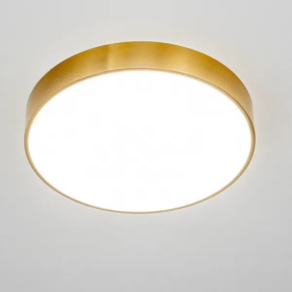 BRILAGI - LED Fürdőszobai mennyezeti lámpatest POOL LED/36W/230V átm. 40 cm IP54 arany