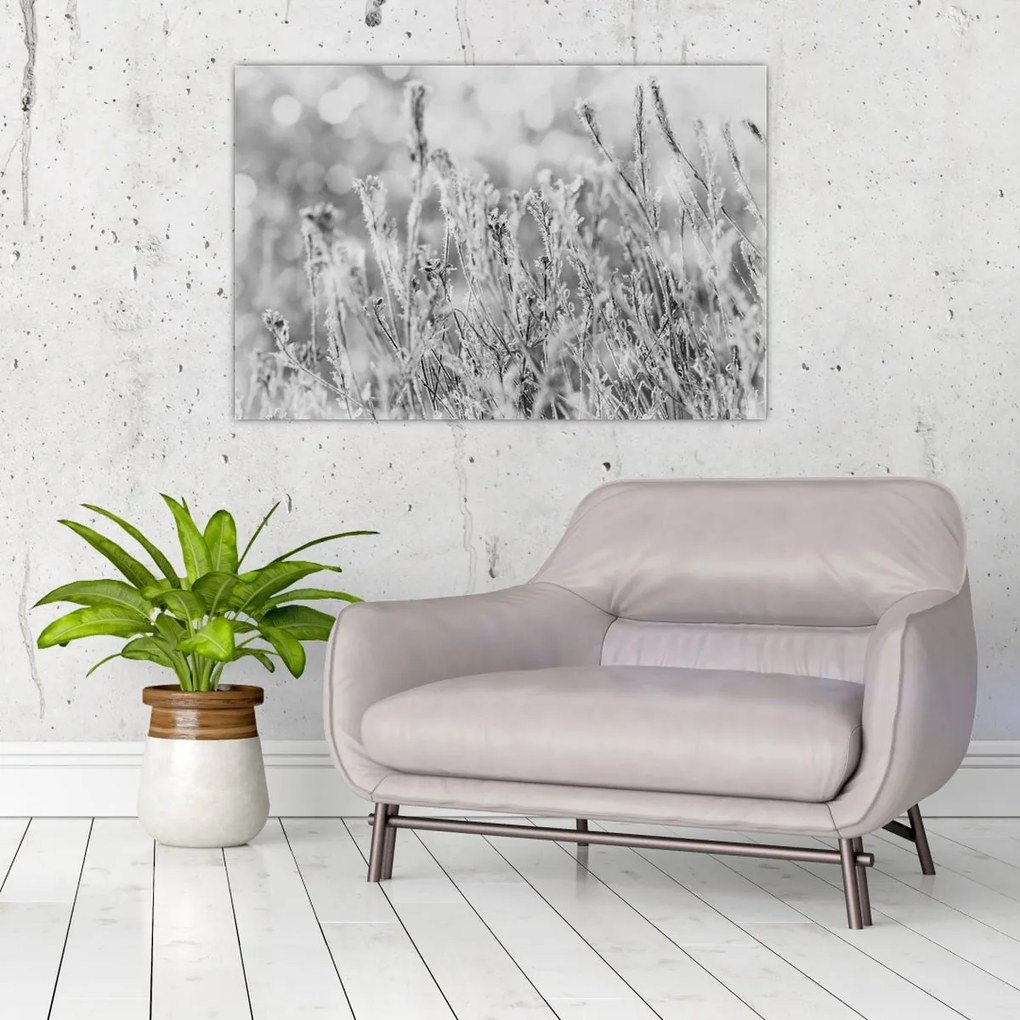 Kép - Hideg tél (90x60 cm)