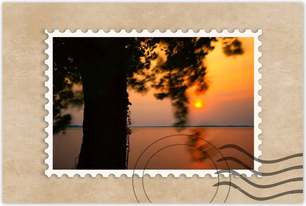 Plakátok 120x80 Tree Sunset