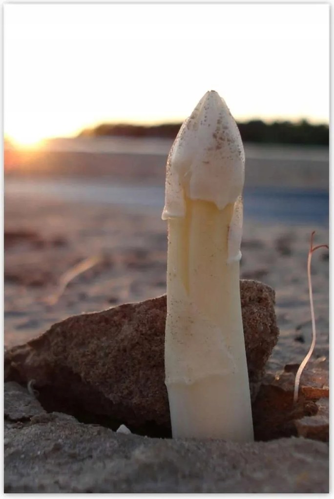 Poszterek 80x120 Első spárga