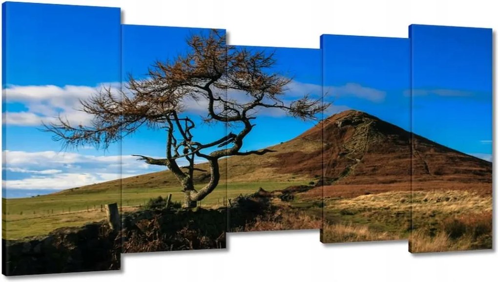 Vászonkép 150x80 Elpusztíthatatlan fa