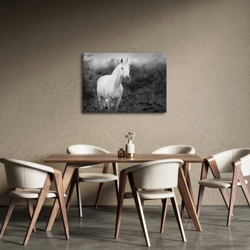 Egy fehér ló képe egy réten, fekete-fehér (70x50 cm)