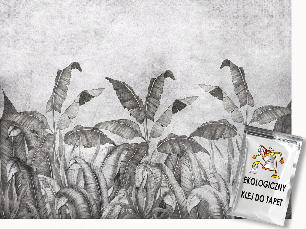 Fotótapéta Flizelina Fal Beton Növényzet Banánlevél 400x280 ragasztó