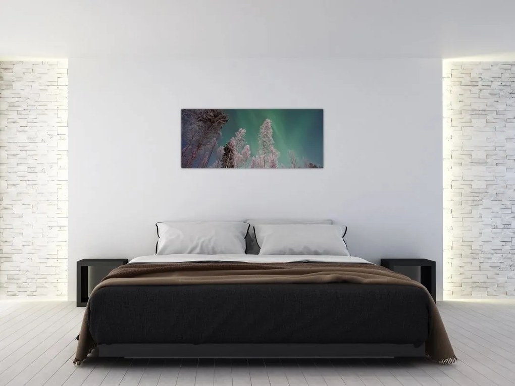 Az aurora borealis képe fagyos fák felett (120x50 cm)