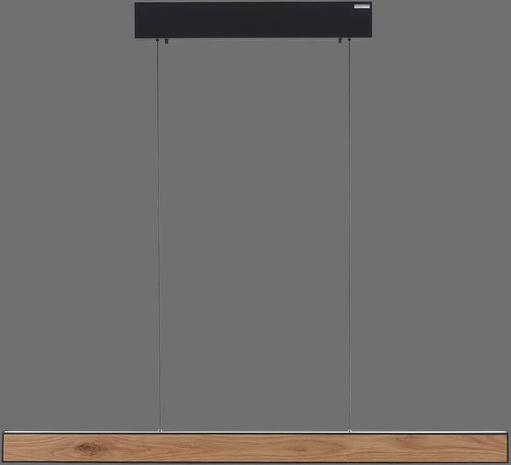 Paul Neuhaus modern skandináv függeszték pure e-motion fekete fa pln2570-79