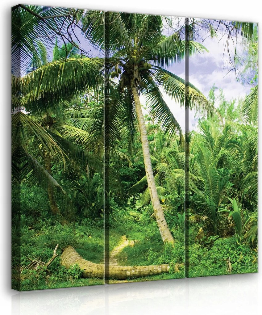 Vászonkép 90x100 Trópusok dzsungel pálmafák zöld természet egzotikus nyugalom