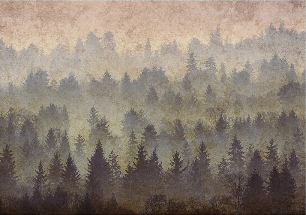 Flizelina fotótapéta Nappaliba és Hálószobába Erdei köd 312x219 Ragasztó