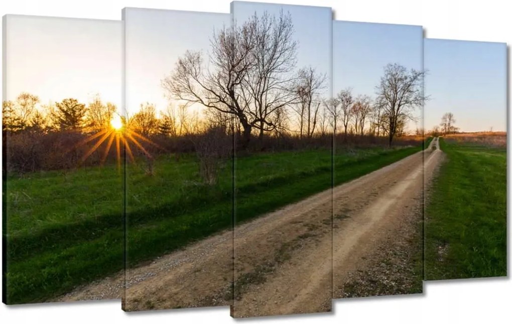 Festmények 100x60 Mezei út Fák Mezők
