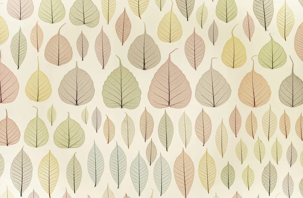 Poszter 91,5x60cm Csontváz levelek, Assaf Frank