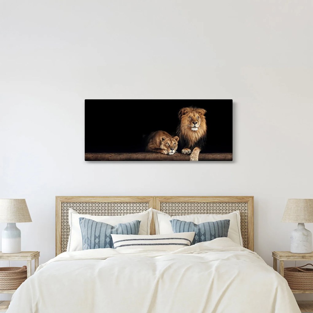 Kép - oroszlán és a nőstény oroszlán (120x50 cm)
