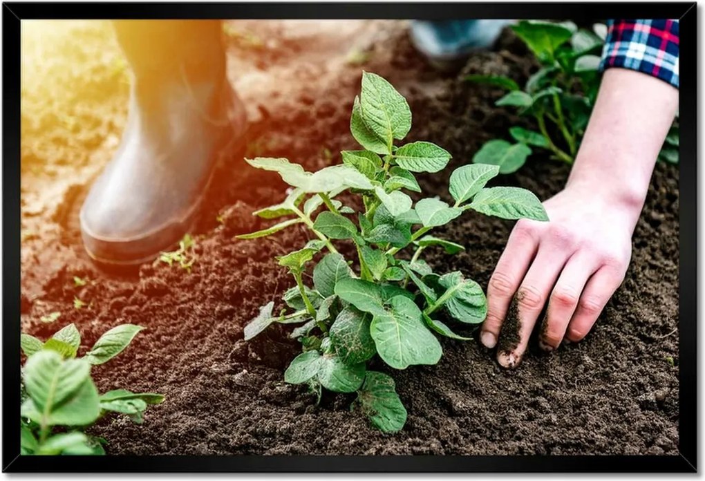 Poszterek keretben 60x40 Gyomok eltávolítása a földről