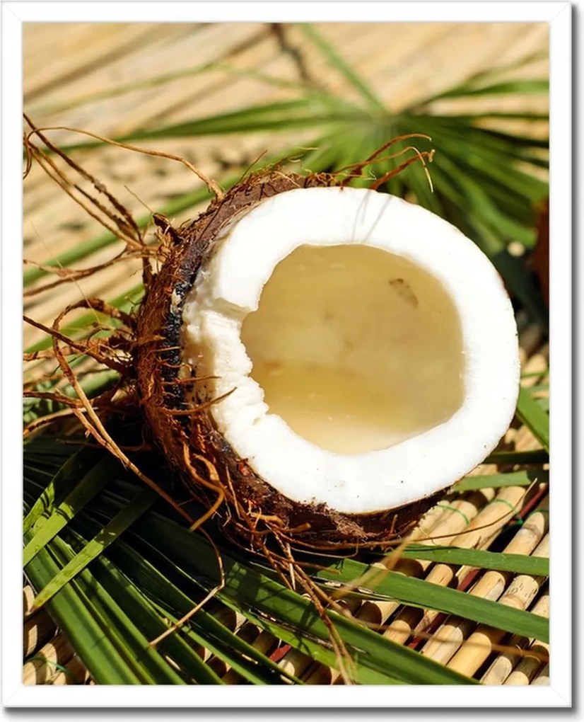 Poszterek keretben 40x50 Kókusz variációk Konyha