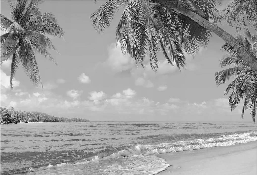 Flizelin tapéta Divatos 3D fali ragasztó Trópusi paradicsom 152x104 Ragasztó