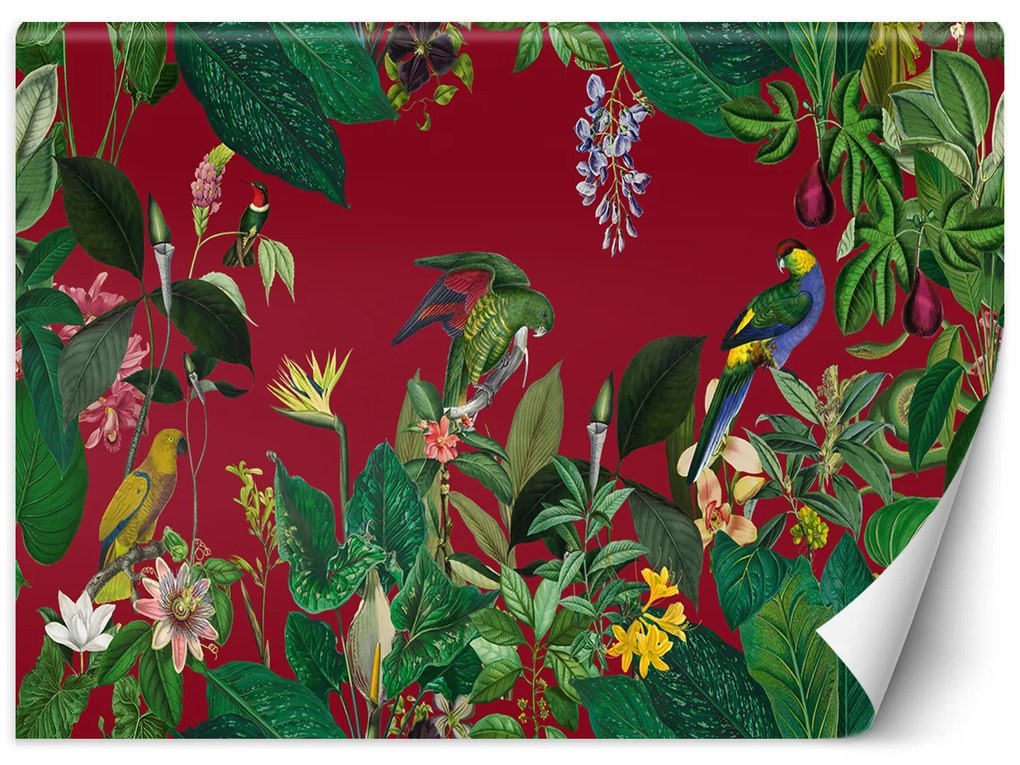Gario Fotótapéta Vörös trópusok - Andrea Haase Anyag: Vlies, Méret: 100 x 70 cm