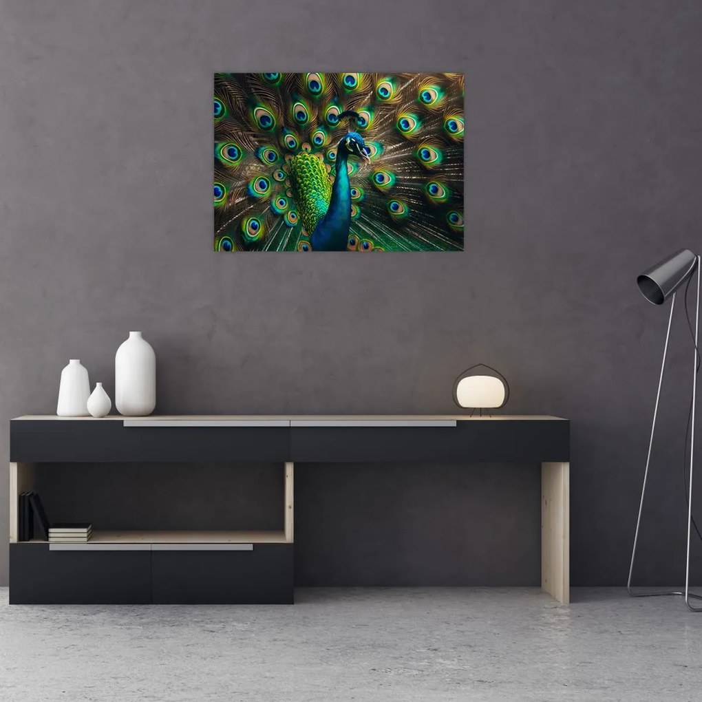 Kép – Pávatoll (70x50 cm)