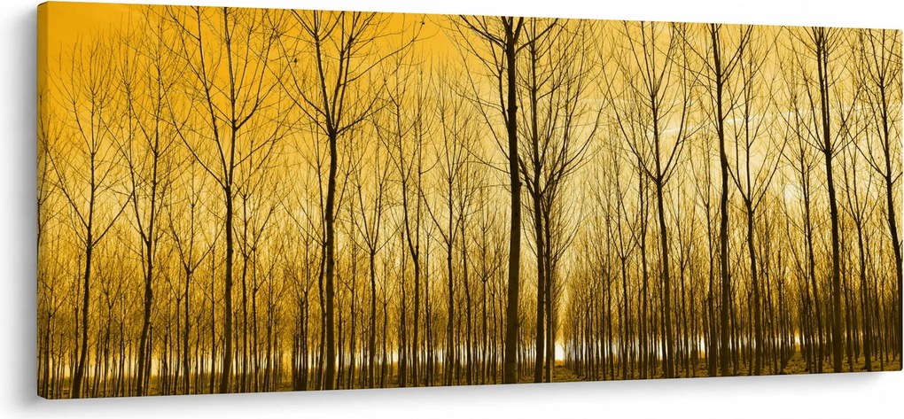 Egy erdő naplementekor képe (120x50 cm)