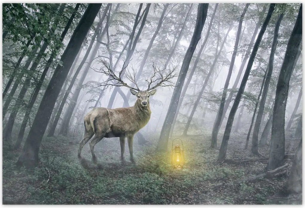 Poszterek 155x105 Szarvas az erdőben