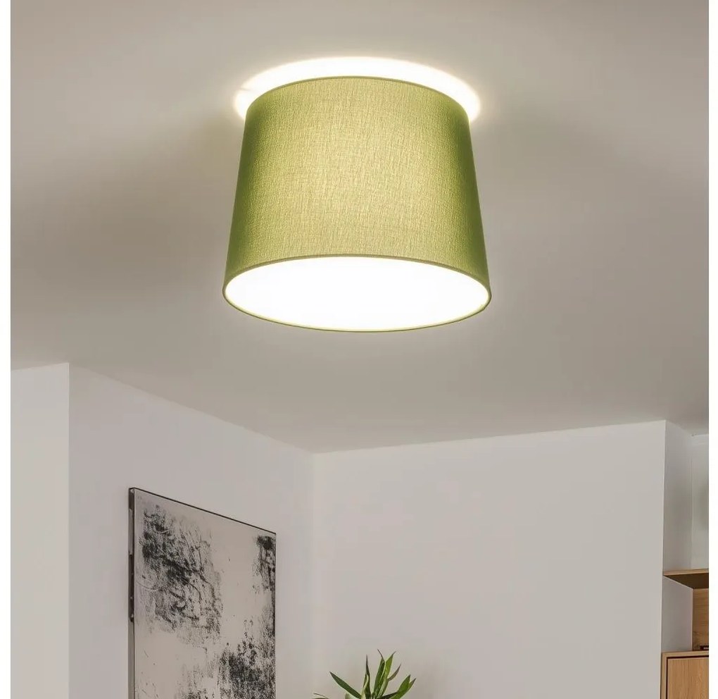Brilagi - LED felületre szerelhető csillár CERIA 1xE27/40W/230V átmérő 30 cm zöld
