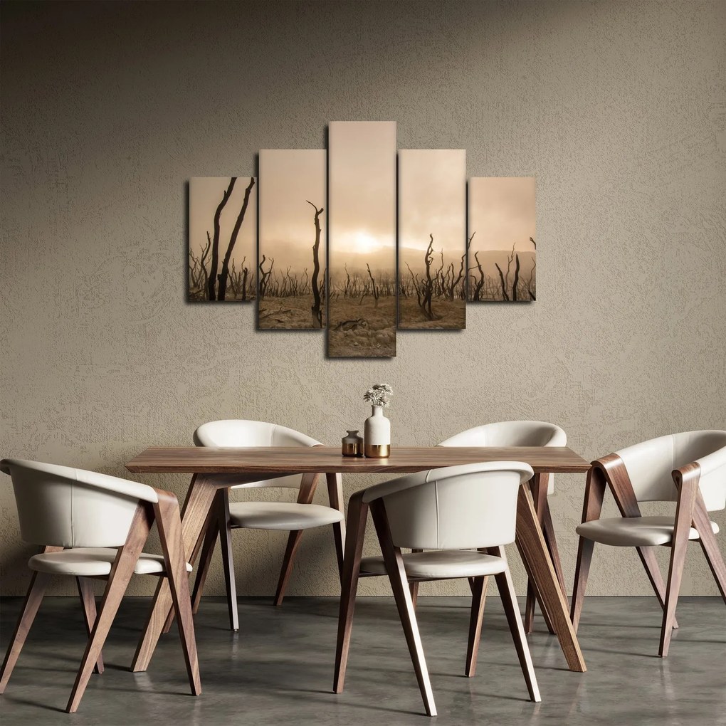 Kép - Csupasz fák (150x105 cm)