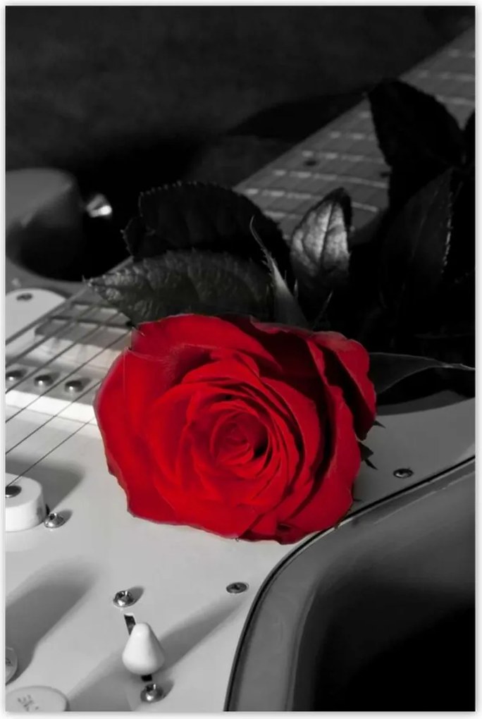 Poszterek 60x90 Elektromos gitár rózsával