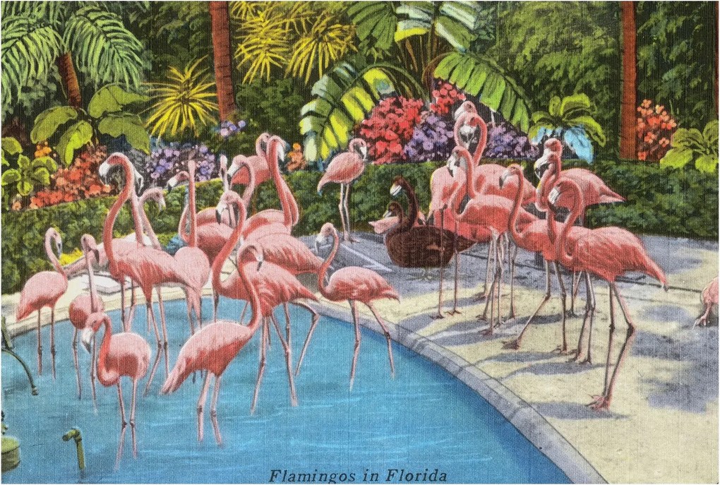 Fotótapéta Flizelin Dekoratív az irodába Egzotikus jelenet 104x70 Ragasztó