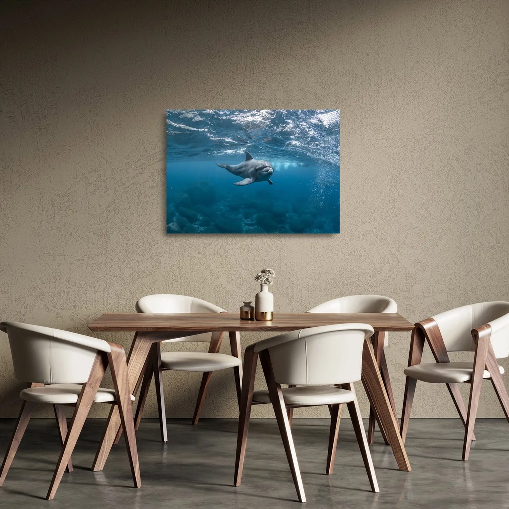 Kép - Delfin a felszín alatt (üvegen) (70x50 cm)