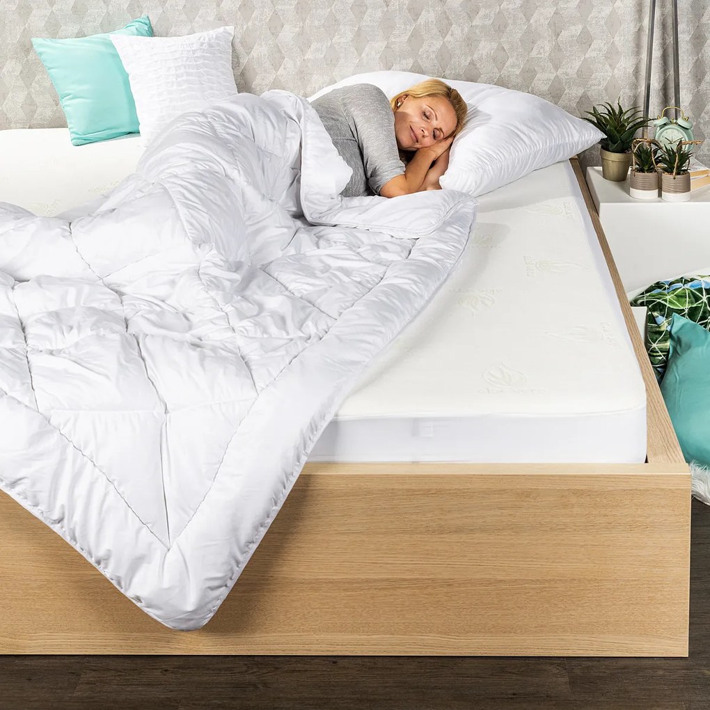 4Home Aloe Premium paplan és párnák szett, 140 x 220 cm, 70 x 90 cm