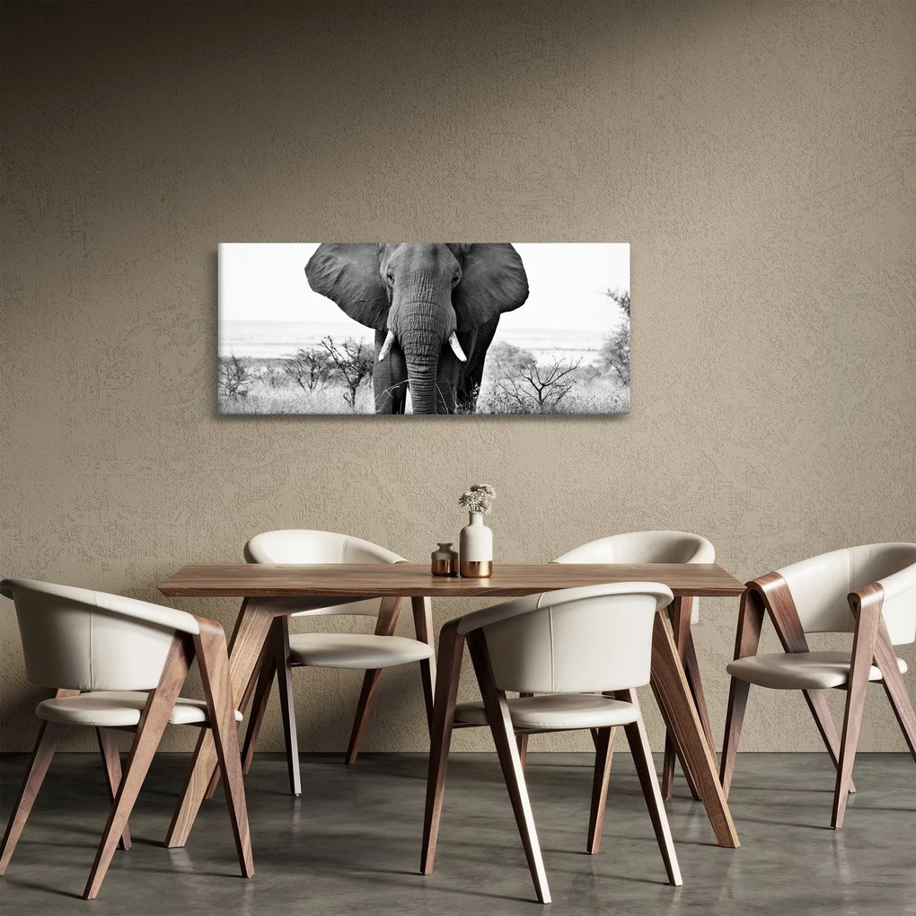 Kép - Afrikai elefánt II. (120x50 cm)