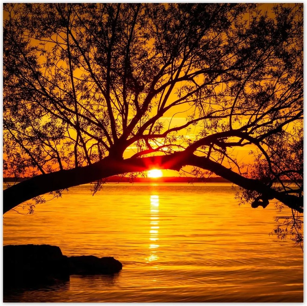 Poszterek 100x100 Tengerpart Fa Tenger