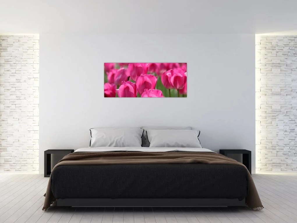 Kép - Rózsaszín tulipánok (120x50 cm)