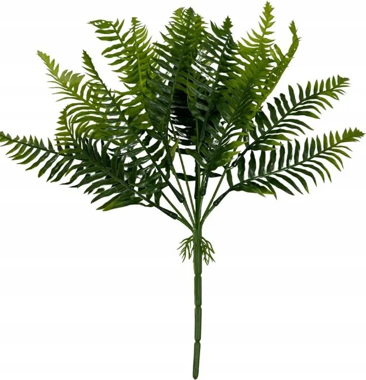 Páfrány csokor páfrány 44 cm