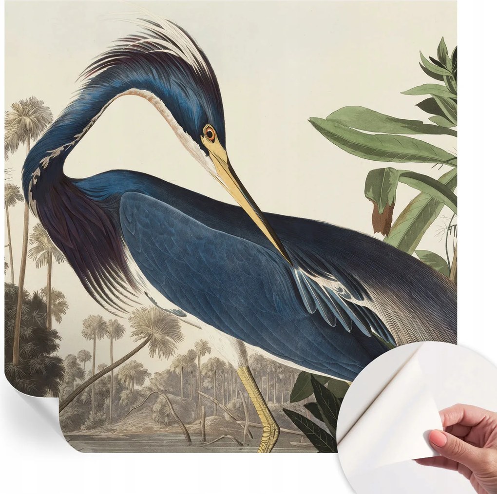 Matt öntapadós fotótapéta Falra Egzotikus természet 250x250 cm