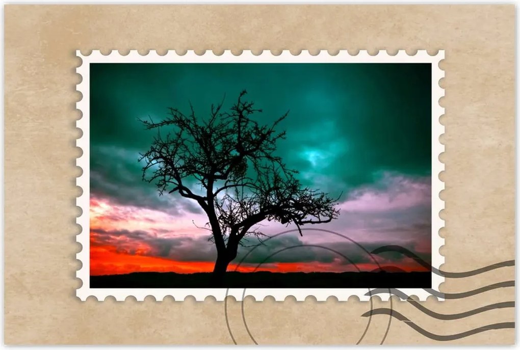 Poszterek 60x40 Naplemente a sivatagban