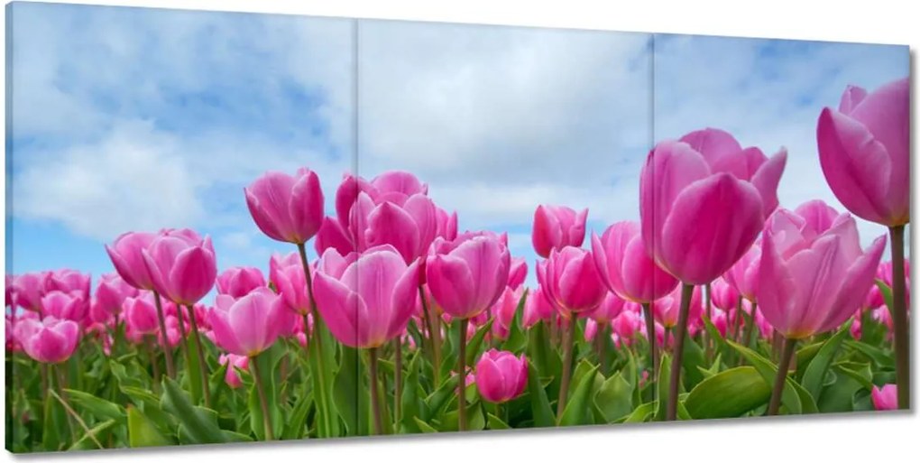 Képek 210x100 Tulipánok Valentin napra