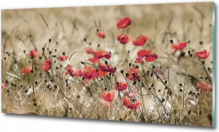 Fotó üveg kép Pitypangok fa 100x70