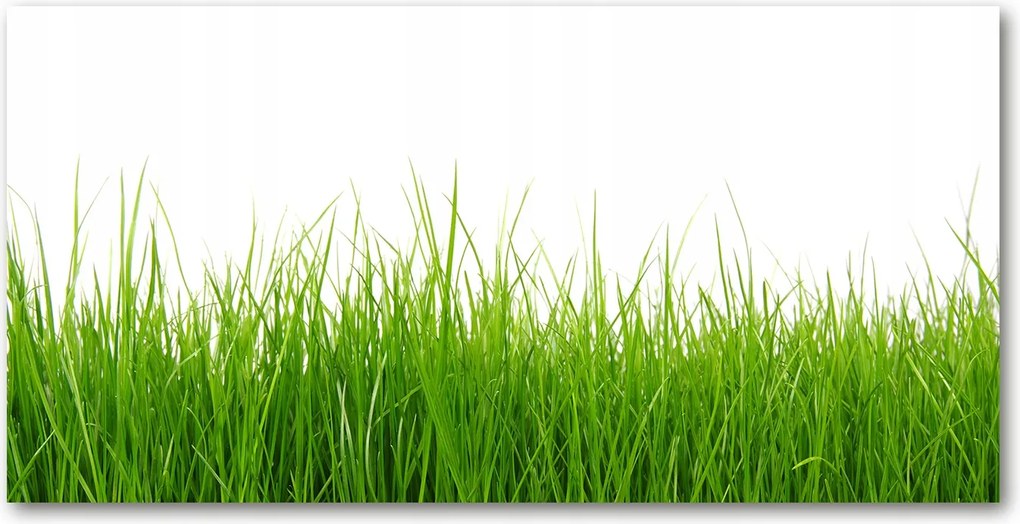 Üvegpanel konyhába Fű 140x70 cm Ragasztó