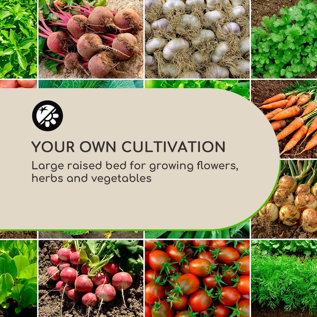 Blumfeldt High Grow Straight, emelt ágyás, 200 x 60 x 100 cm, 1200 l, acél