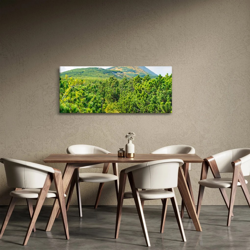 Kép - Babi Hora, Lengyelország (120x50 cm)