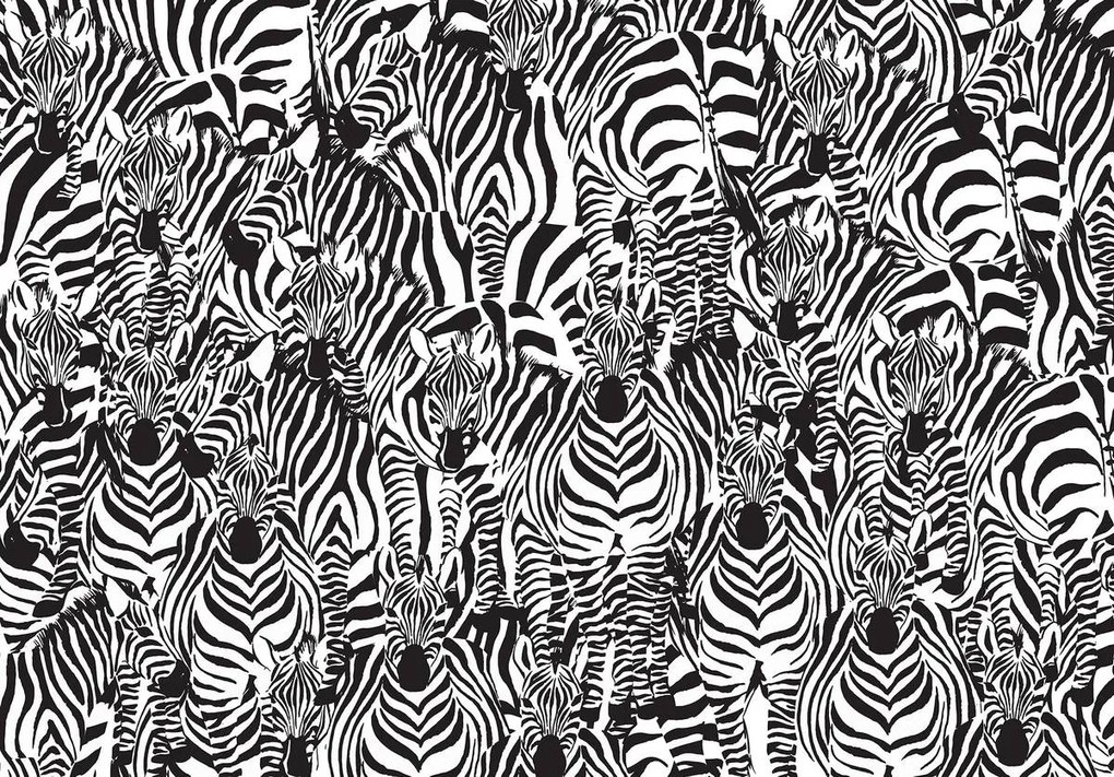 Fotótapéta - Zebra (152,5x104 cm)