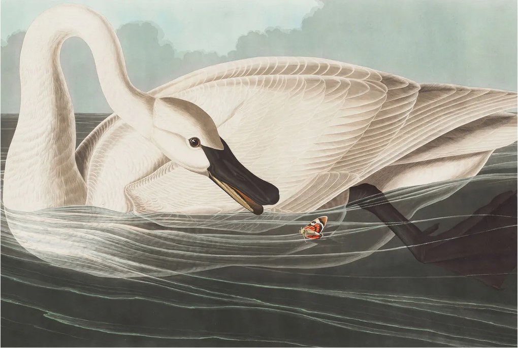 Dekoratív fotótapéta Hálószobába A természet harmóniája 104x70