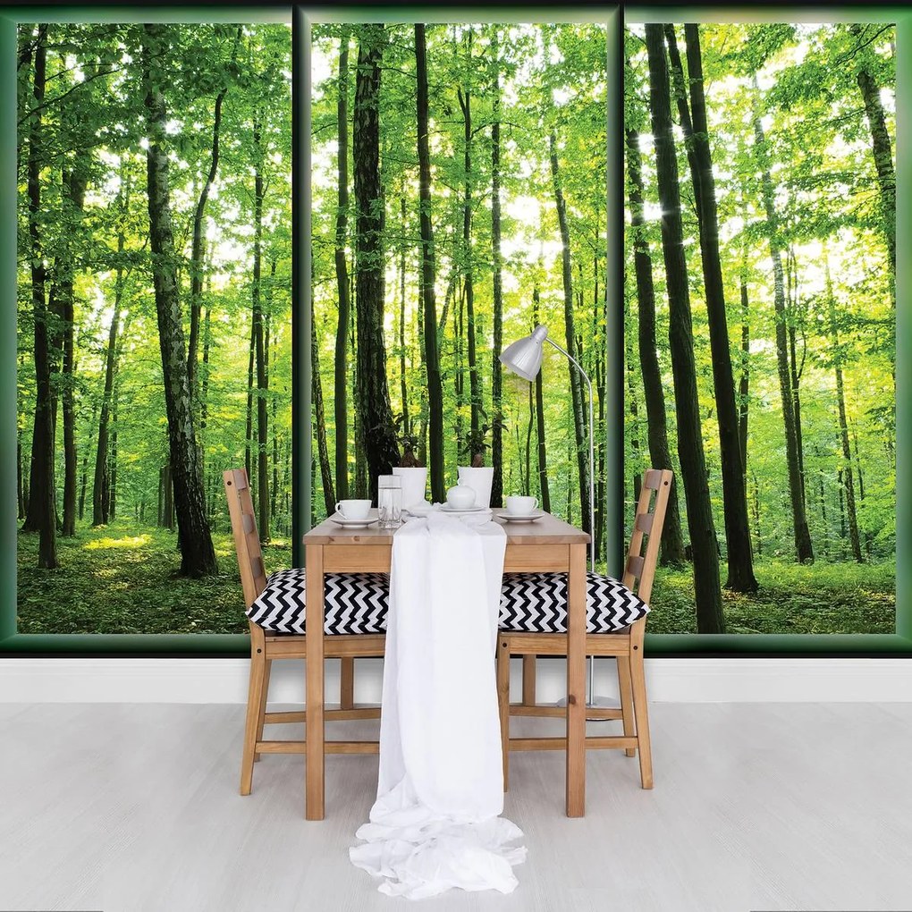 Fotótapéta - Erdő (152,5x104 cm)