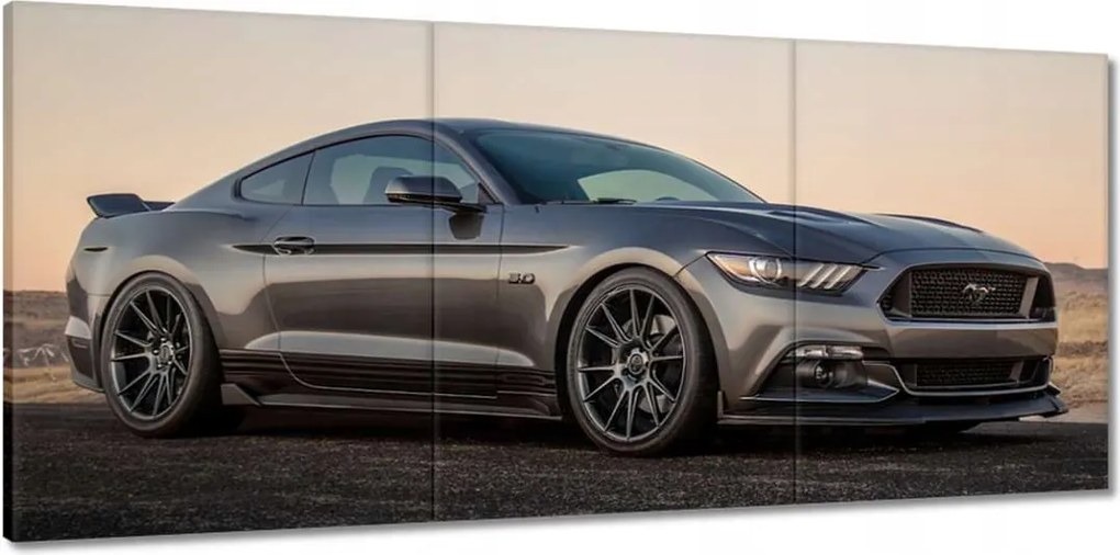 Képek 150x70 Ford Mustang made in Usa