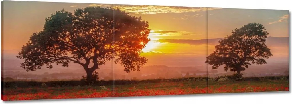 Vászonkép 120x40 Pipacsok a mezőn Tájkép