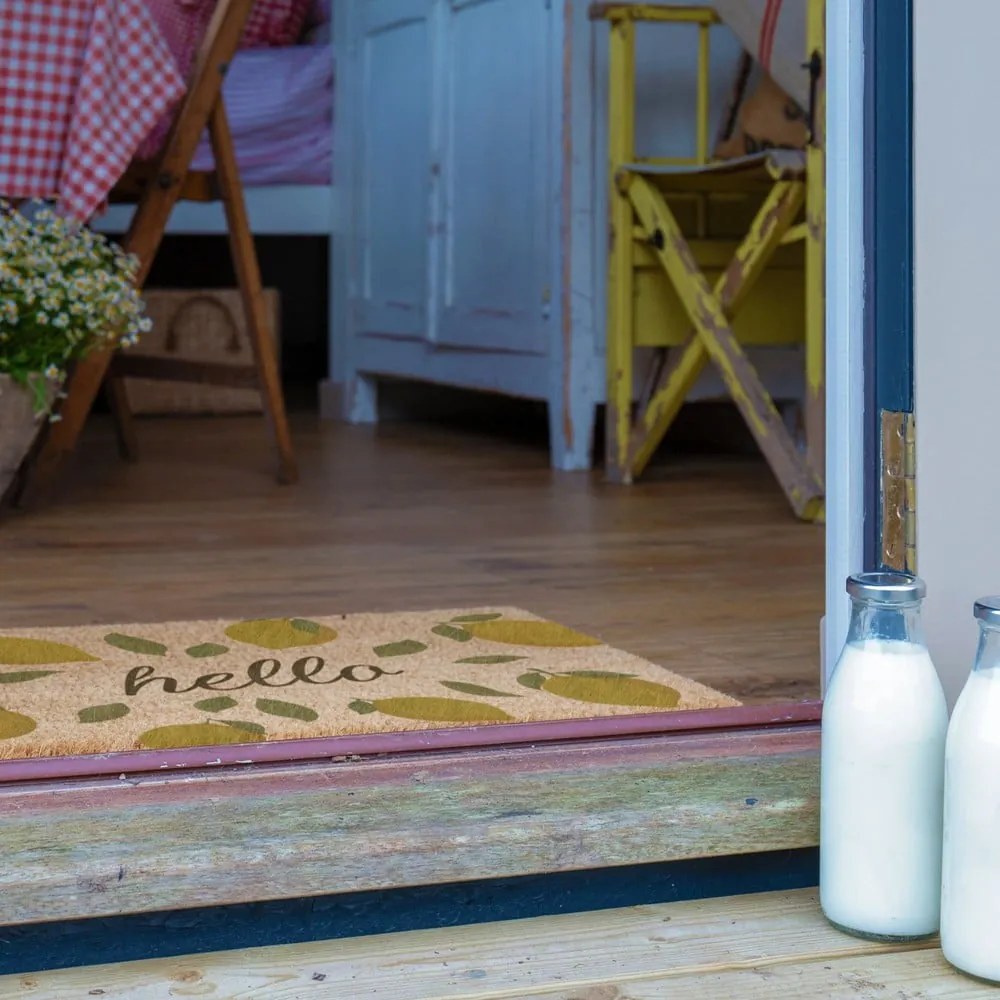 Kókuszrost lábtörlő 40x60 cm Hello Lemons – Artsy Doormats