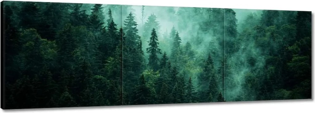 Vászonkép 150x50 Erdő Köd Tájkép Utazás