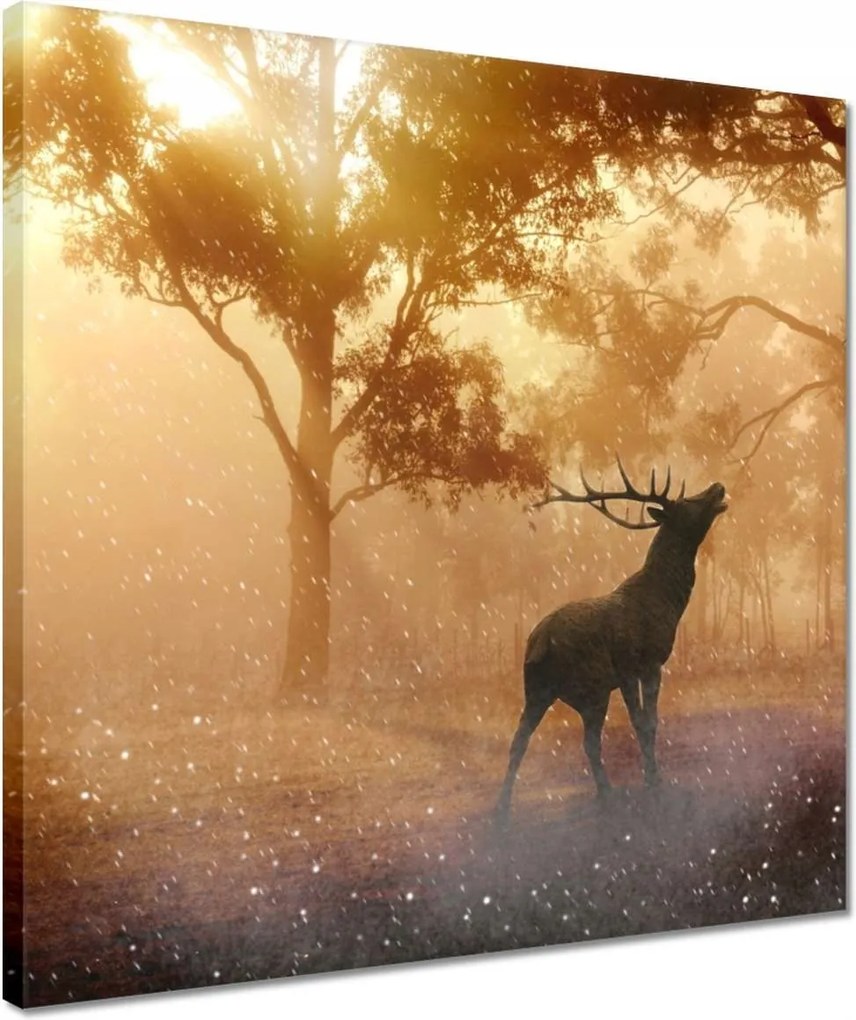 Vászonkép 40x40 Szarvas az erdőben