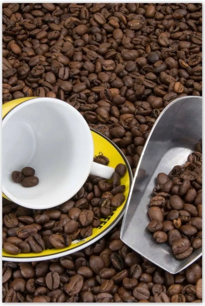 Poszterek 80x120 Természetes kávé szemes